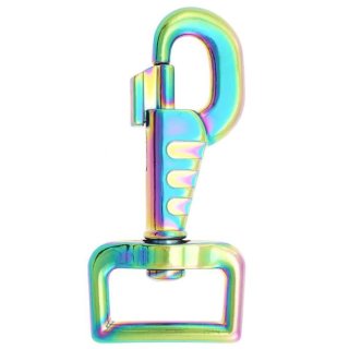 Karabiner  L  Regenbogen